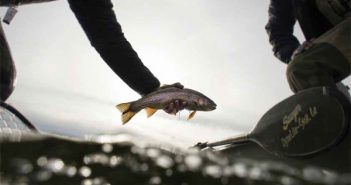 Angling Trade — the buzz on the flyfishing biz