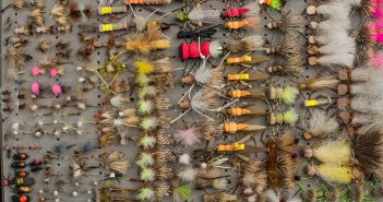 A variety of fly flies are arranged on a tray.