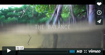 The balance - screenshot thumbnail.