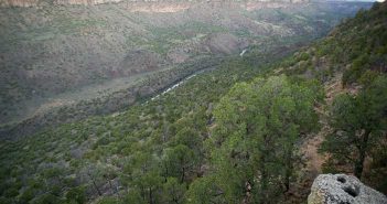 A view of a canyon with trees and a river.