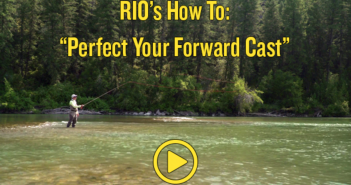 Rio's how to perfect your forward cast.