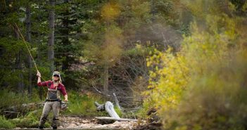 A man is fly fishing in a river.