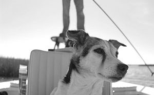 Black and white photo of a man and dog on a boat.