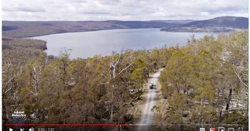 A video of a car driving through a forest near a lake.