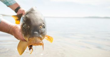 A man holding a fish in the water.