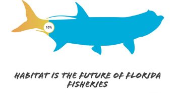 Habitat is the future of florida fisheries.