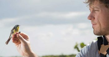 A man holding a bird in his hand.