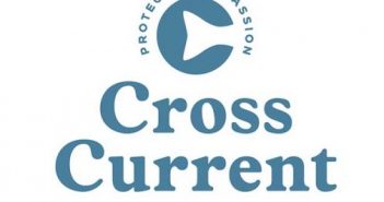 Cross current insurance logo.