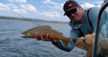 A man holding a brown trout with his dog.