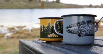 Two mugs sitting on top of a truck next to a lake.