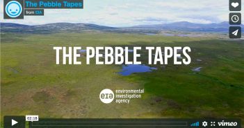 A video showing the pebble tapes.