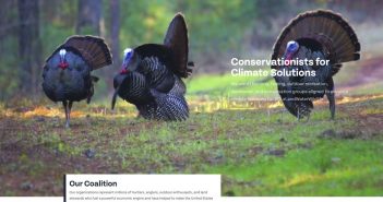 A website with turkeys standing in a field.