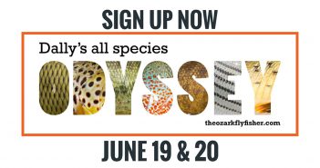 Daily species of odyssey sign up now.