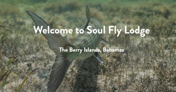 Welcome to soul fly lodge.