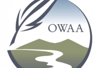 Owaa logo with a river and leaf.