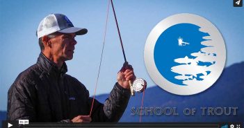 The school of trout logo with a man holding a fly rod.