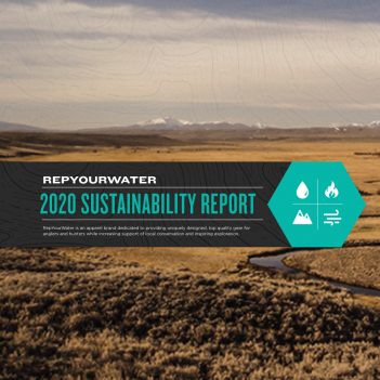 The cover of the 2020 sustainability report.