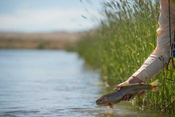 A man holding a rainbow trout in the water.