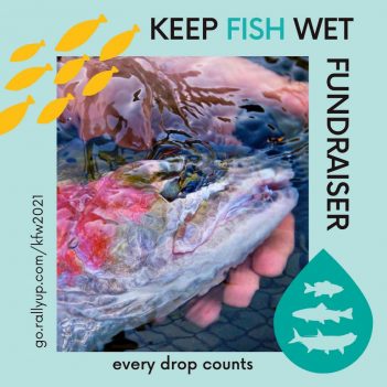 Keep fish wet fundraiser poster.