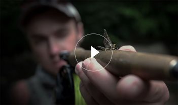 A man holding a fishing rod with a fly in it.