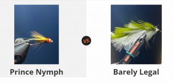 Prince nymph vs barley legal.