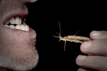 A man is holding a bug in his mouth.