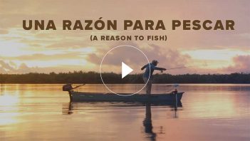 Una razon para pescar - a season to fish.