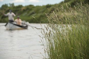 Two men in a canoe on a river with tall grass.