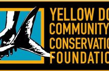 Yellow dog community and conservation foundation logo.