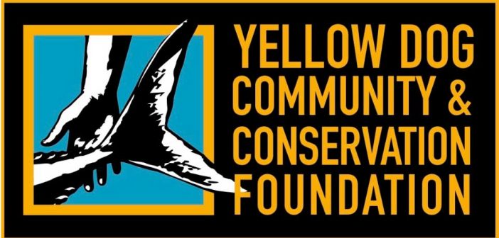 2023 Fly-fishing Workshop on the Yellow Dog - Yellow Dog Watershed Preserve