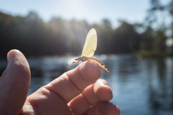 A person's hand holding a small fly in front of a lake.