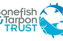 Bonefish and tarapon trust logo.