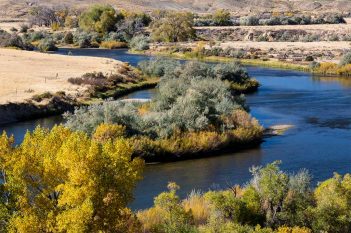 A river surrounded by trees in a dry area.