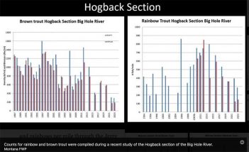 A screen shot of a graph showing the number of hogbacks in a river.