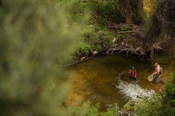 Two people fishing in a stream with trees in the background.