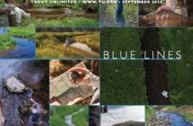 Cover of Trout Unlimited magazine, September 2024 issue, titled "Blue Lines." The collage features various fishing scenes and waterways, with people engaging in fishing activities amidst nature.