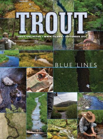 Cover of Trout Unlimited magazine, September 2024 issue, titled "Blue Lines." The collage features various fishing scenes and waterways, with people engaging in fishing activities amidst nature.