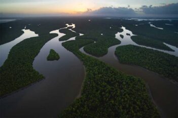 Aerial view of winding river coursing through dense forest, with patches of land and water at sunset.