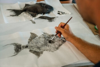 A person uses a fine brush to paint a detailed image of a fish on a white sheet, with another painted fish image in the background on a napkin.