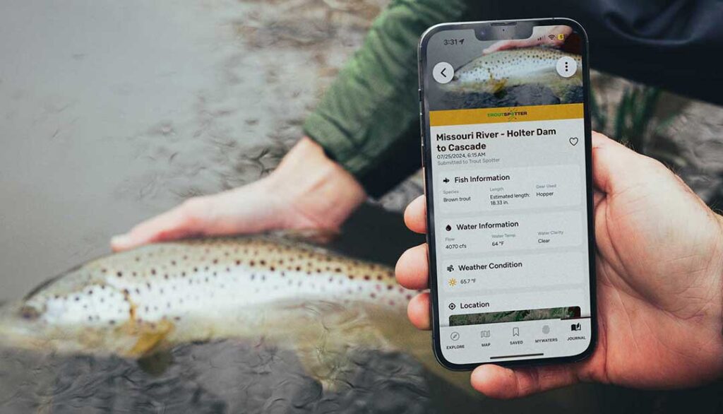 A person holds a smartphone displaying fishing information while releasing a fish back into the water.