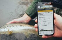 A person holds a smartphone displaying fishing information while releasing a fish back into the water.