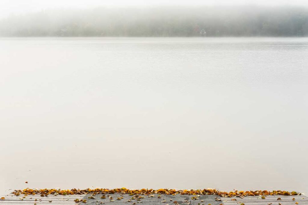 A serene lake view in foggy weather, with fallen leaves scattered on the shore.