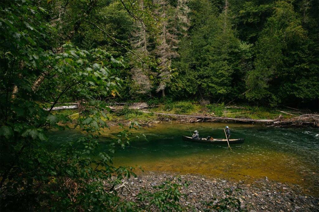 A person in a canoe on a serene river surrounded by dense forest.