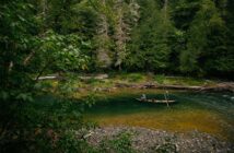 A person in a canoe on a serene river surrounded by dense forest.